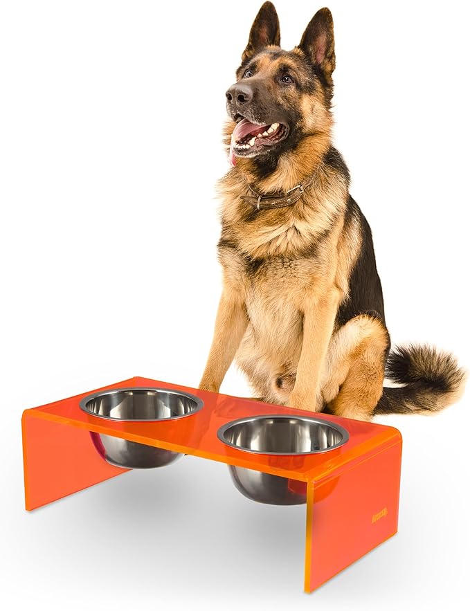DBL2001E Keaton 7.5" Medium/Large Modern Acrylic Rectangular Elevated Pet Feeder with 54oz 2-Stainless Steel Bowls, Pink/Chrome