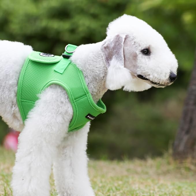 PUPPIA International Harness Soft B Vest, Medium, Green