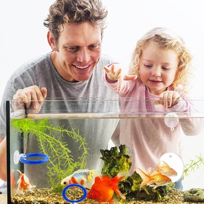 2pcs Bettas Fish Enrichment Toys Ring, with Mirror/Floating Ball, Exercise Floating Mirrors and Training Ring for Fish Tank, Aquarium Feeding Rings Accessories
