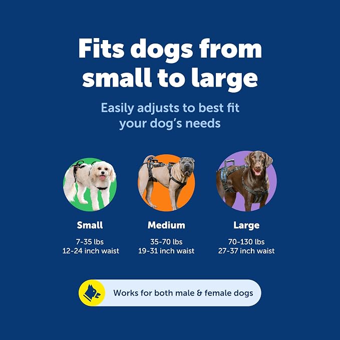 PetSafe CareLift Dog Lift Harness, Full Body, Medium | Lift Sling for Dogs, Full-Body Support for Elderly, Arthritic or Recovering Dogs, Padded Shoulder Strap, Machine Washable