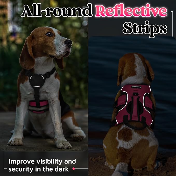 rabbitgoo Escape Proof Dog Harness for Small, No Pull with Lift Handle | No Escape, Full Soft Padded, Reflective Adjustable Vest, Leash Clip for Walking Hiking Training, Peach Pink, Small