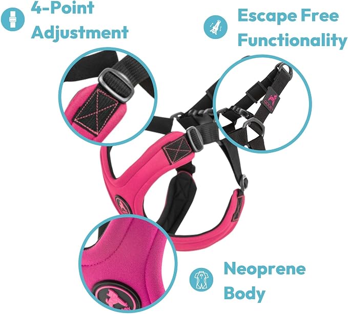 Gooby Escape Free Sport Dog Harness, Choke-Free, Turquoise, Large | Patented escape-free frame; Reduces choking; 4-point adjustment; Soft neoprene padding; Durable webbed straps