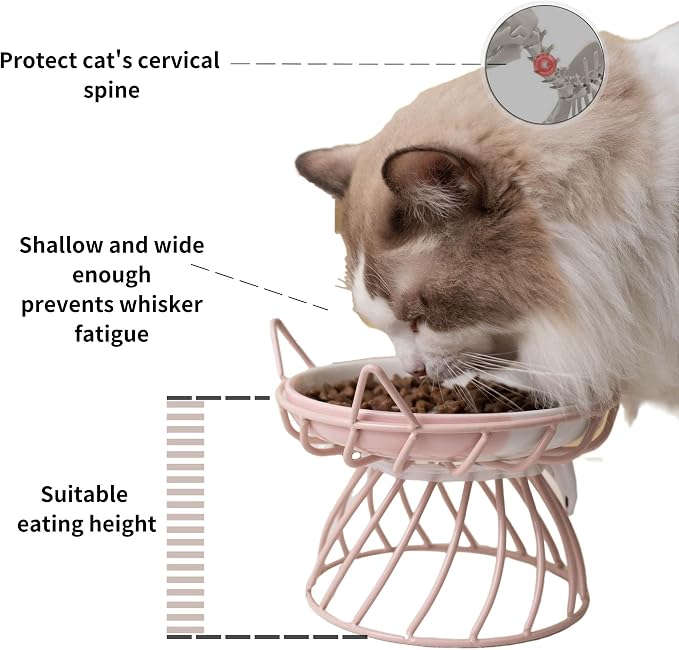 Elevated Ceramic Cat Bowl, Detachable Design, Yellow | Detachable Bowl Elevated Design Whisker Friendly Non-Slip Pads Premium Ceramic