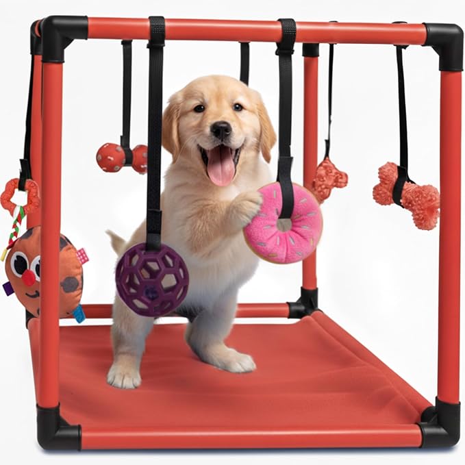Race&Herd 19.5" Puppy Play Gym — Small Dog Jungle Activity Mat (Cherry) | Dog Play Mat with 8 Bungee Straps, Interactive Puppy Active Toys — Indoor Enrichment Playground Set