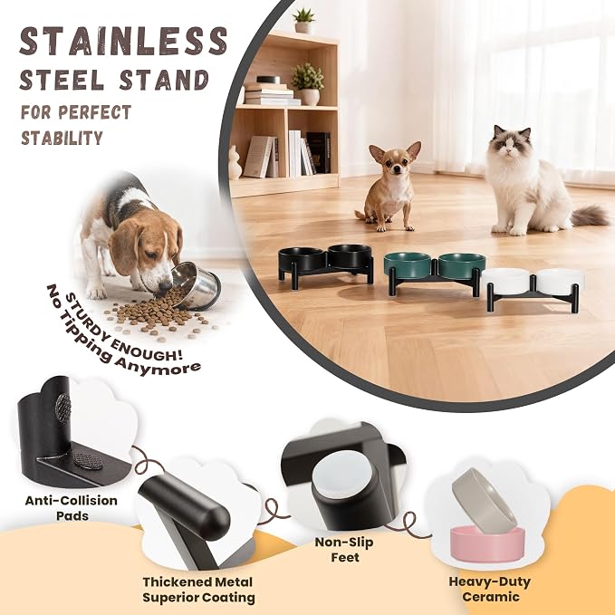 Raised Ceramic Dog Bowl Set with Stand, 1.6 Cups Elevated Dog Food Stand | 5.1'' Double Dog Food and Water Bowl Set, Non-Slip Dog Feeding Dishes for Small Breeds and Cats, 10.8 OZ, Green