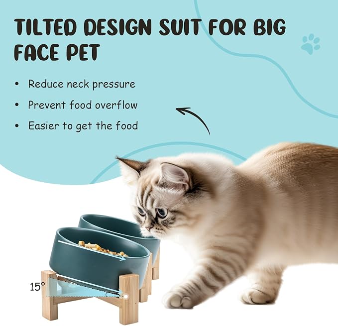 SPUNKYJUNKY 15° Slanted Ceramic Dog and Cat Bowl with Wooden Stand, Tilted Bulldog Food and Water Bowl No Slip Non-Spill for Cats Medium Dogs Big Face Pets 13.5 OZ (1.7 Cups, Green × 2)