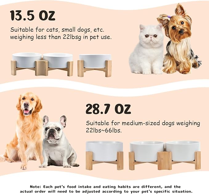 SPUNKYJUNKY 15° Slanted Ceramic Dog and Cat Bowl with Wooden Stand, Tilted Bulldog Food and Water Bowl No Slip Non-Spill for Cats Medium Dogs Big Face Pets 28.7 OZ (3.6 Cups, White)