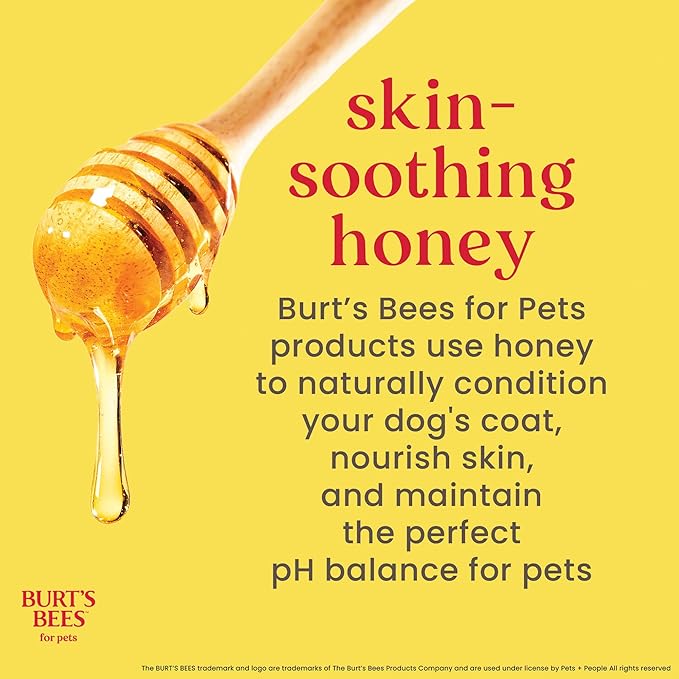 BURT'S BEES FOR PETS Hot Spot Spray with Apple Cider Vinegar and Aloe Vera for Itchy Dogs, 95% Natural Origin Formulas, Itchy Skin Relief, 10 Fl Oz