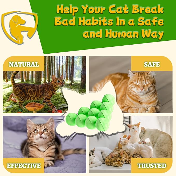 Mimo Style Cat Deterrent Outdoor,Natural Peppermint Oil Cat Deterrent Outdoor Indoor,Keep Cats Out of Yard Permanently,Keep Cats Off Lawn,Garden,Furniture,Mulch & Flower,Keep Cats Away