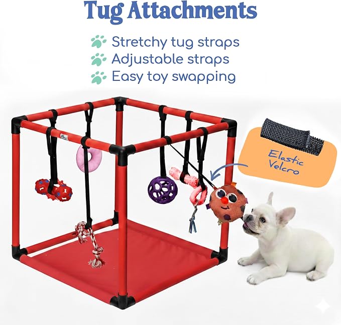 Race&Herd 19.5" Puppy Play Gym — Small Dog Jungle Activity Mat (Cherry) | Dog Play Mat with 8 Bungee Straps, Interactive Puppy Active Toys — Indoor Enrichment Playground Set