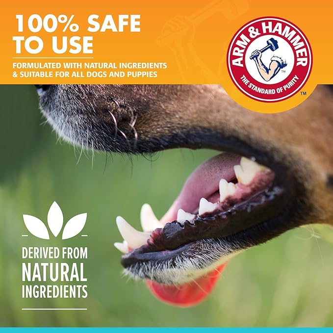 Arm & Hammer for Pets Dog Oral Care Spray, Mint Flavor Breath Freshener & Teeth Cleaning, Baking Soda Enhanced Plaque & Tartar Support, Easy Brushless Dental Care for Adult Dogs, 4 Fl Oz - 2 Pack