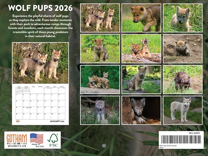 Baby Wolf Calendar 2026 Wall Monthly Pup Wolves Gifts For Wolf Lovers Women Men | American Made In The USA
