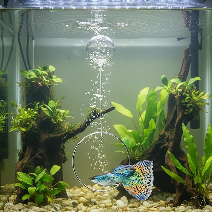 Betta Fish Tank Accessories, 3-Piece Set with 2 Training Rings and 1 Mirror with Floating Ball, Plastic Betta Fish Toys for Aquarium Enrichment