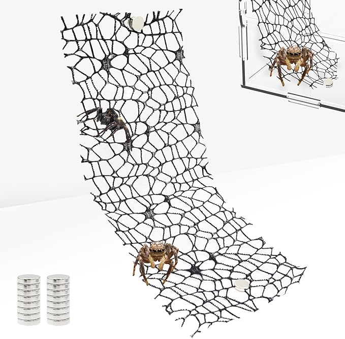 6 Pack Tarantula Enclosure Accessories Jumping Spider Habitat Accessories with 16pcs Magnets Spider Terrarium Decoration Praying Mantis Habitat Jumping Spider Climbing Mesh (Black)