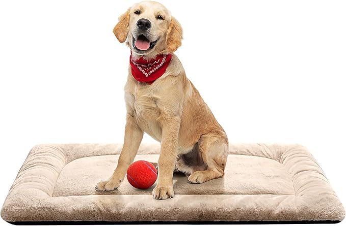 Dog Crate Pad Washable Dog Bed for Crate Medium Cozy Mat 36-Inch Cream | Ultra Soft Kennel Pad,Anti-Slip Bottom,Fits for Most Metal Crates,Comfortable Sleeping Pet Mat