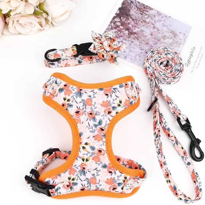 Beirui Cute Dog Collars,Harnesses,Leashes Set, Floral Pattern, Orange,XXS | Girl Dog Harness Set with Flower, Adjustable and Soft Mesh Lining, For Puppies Small & Extra Small Dogs Daily Walks