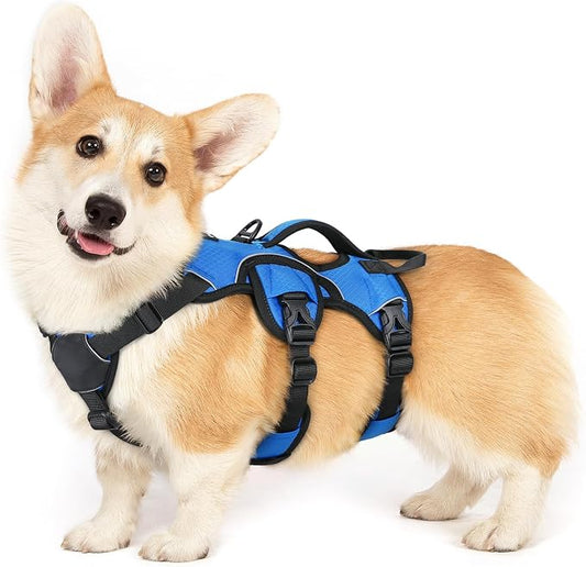 rabbitgoo Escape Proof Dog Harness for Small, No Pull with Lift Handle | No Escape, Full Soft Padded, Reflective Adjustable Vest, Leash Clip for Walking Hiking Training, Blue, Small