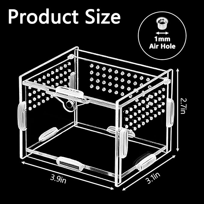 Small Acrylic Insect Terrarium - Mini Bug Enclosure for Jumping Spiders, Praying Mantises & Tiny Frogs - Clear Acrylic Cage with 1mm Ventilation Holes, Easy Maintenance