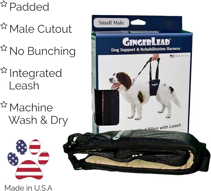 Dog Support Sling Rear Leg Harness, SM Male, Machine Wash & Dry | Fits Small to Medium Size Pets or Larger Barrel-Chested Breeds like Boxers, Bullies. Male Dachshunds use XS Size. Made in USA