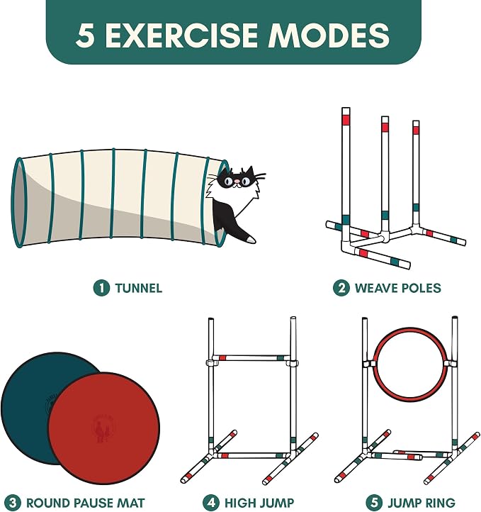 ALBERT & MIA Catgility™ Cat Agility Equipment, Hurdles, Poles, Hoop & Tunnel | Indoor obstacle course training for kittens and small dogs, jumping exercise and enrichment, clicker trainer guide included