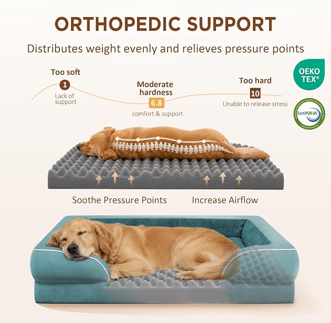 Comfort Expression Waterproof Orthopedic Dog Beds for Extra Large Dog | Supportive Egg Crate Foam XL Dog Bed with Removable Bolster, Dog Couch with Washable Cover & Non-Slip Bottom, 45x35 Inch