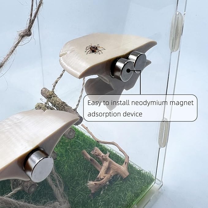 Jumping Spider Mushroom Shelf, Magnetically Concealed Jumping Spider Habitat,Serves As Enclosure Decorate Accessories for Spider Climbing Feeding and Platforms (Simulated wood)