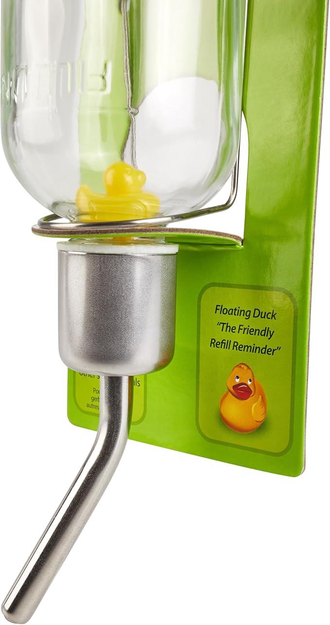 Kaytee Chew-Proof Water Bottle for Pet Hamsters, Gerbils and Rats, 6 oz