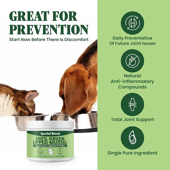 Green Lipped Mussel Powder for Dogs & Cats - 100% New Zealand Green Lipped Mussels - Natural Hip & Joint Supplement for Joints, Tendons, Ligaments, Muscles - 150 Grams - Up to 500 Servings