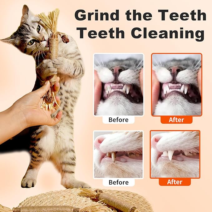 Natural Silvervine Dental Sticks, Natural Silvervine Sticks for Cats, Cleaning Dental, Scratch and Bite Resistant, Calm Cat Boring, for Indoor Kitty Interactive Kitten Chew Playthings (3Pcs)