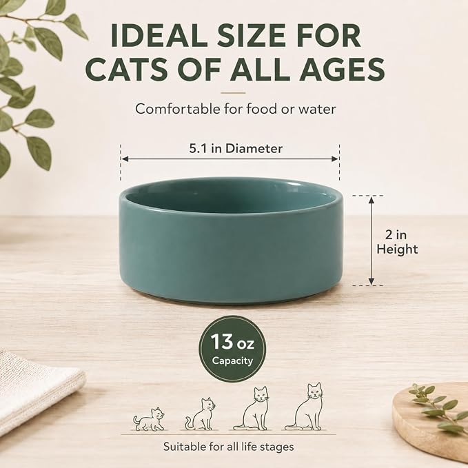 Havniva Cat Bowls Set of Two, 5.1” Ceramic Cat Food and Water Bowls | Cat Food Bowls Whisker Friendly, Non-Slip Base, Food-Grade Ceramic, Wide Opening, Dishwasher Safe, Cat Bowls for Indoor Cats