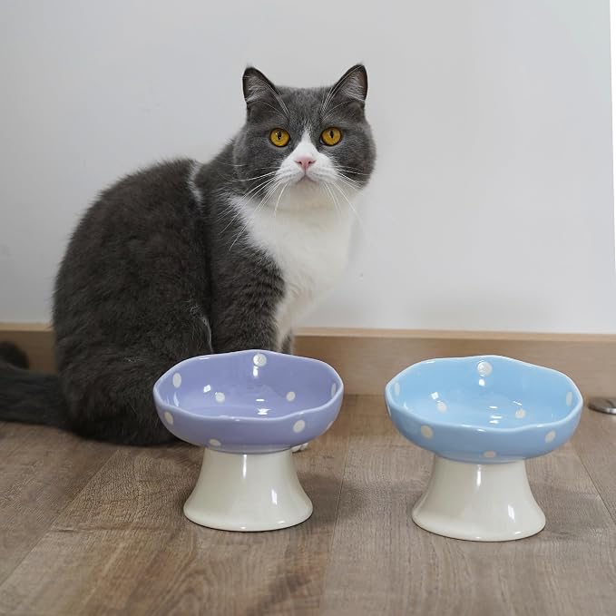 Purple Mushroom Cat Bowl, Elevated Ceramic Bowl for Cats | Elevated, Ceramic, Whisker Friendly, Wide Opening, Dishwasher Safe,durable