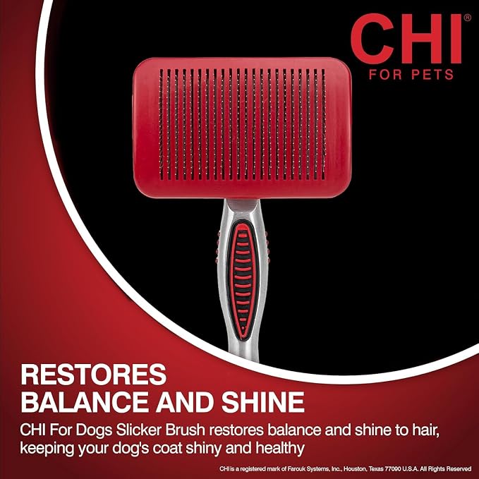 CHI for Dogs Self-Cleaning Slicker Brush, Small Size, 3-Pack | Pivoting head design, fine wire pins, detangles and removes loose hair, for small breed dog coats daily