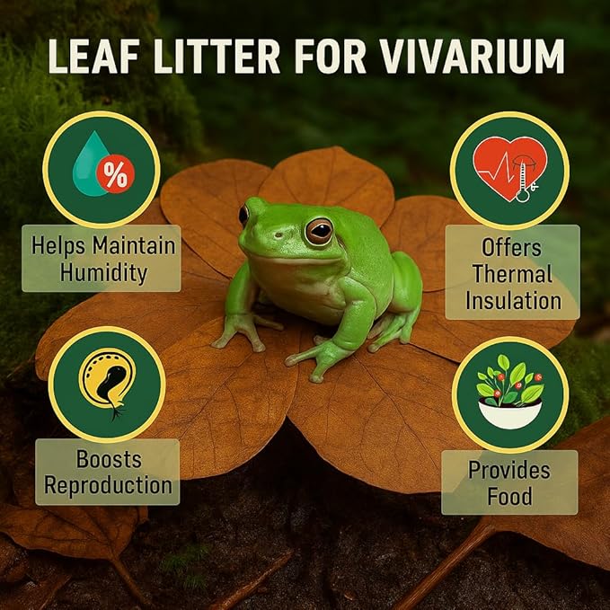 Frog Tank Accesories 100 pcs 3" Leaf Litter for Tree Frogs Indian Almond Catappa Leaves Terrarium Accessories Bioactive Amphibian Habitat Decor