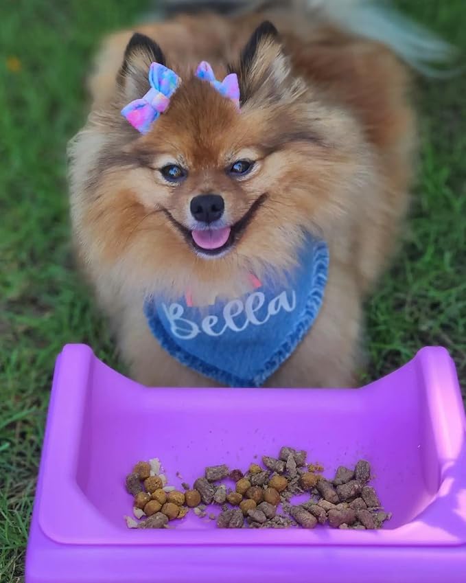 Fluff Trough Elevated Dog Bowl for Food | 5inch Tall Cat & Dog Feeding Station | Vet Approved Non-Toxic Silicone Feeder Bowl Insert | Raised Bowl for Medium and Small Dog/Pet with Flat Face (Purple)