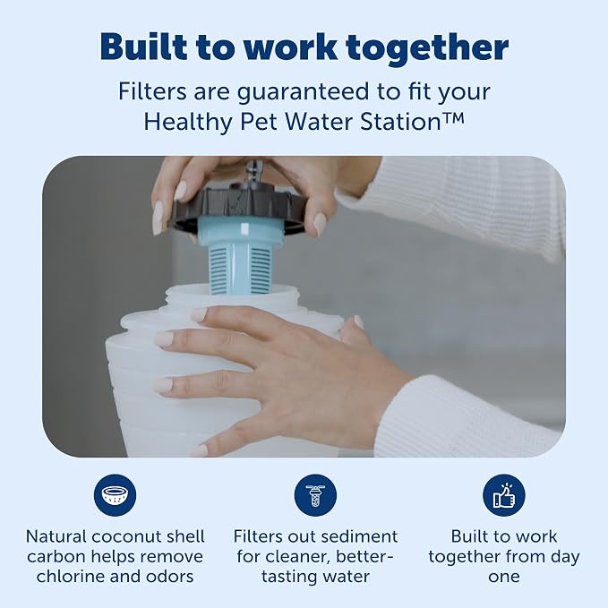 PetSafe Healthy Pet Food & Water Station, Medium, 2-Pack Filters | Gravity Food & Water Station, 4 lb food, 128 oz Water, Dishwasher-Safe Stainless Bowl, Extra Filters