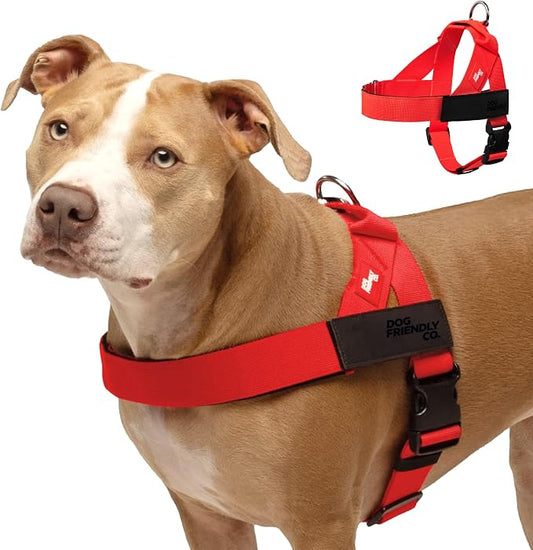 Dog Friendly Co. Dog Harness for Small Dogs (Red, Extra Small) | One Click Buckle, Chafe Resistant Webbing, Adjustable Neck & Chest, and Heavy Duty D-Ring, Sturdy Comfortable and Easy to Use