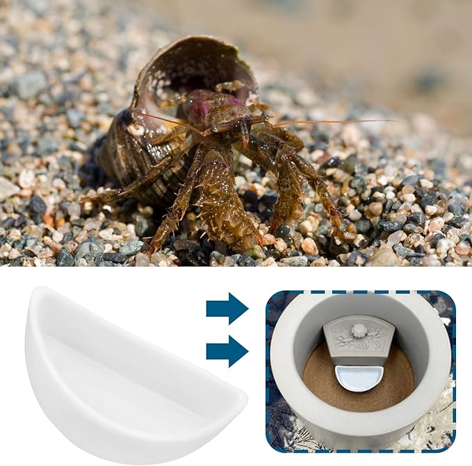 ECSiNG 6PCS Hermit Crab Mini Ceramic Dish 4.21x2x1.05cm Semicircle Shape Reptile Food Bowl for Spider Hermit Crab Tarantula Millipede White