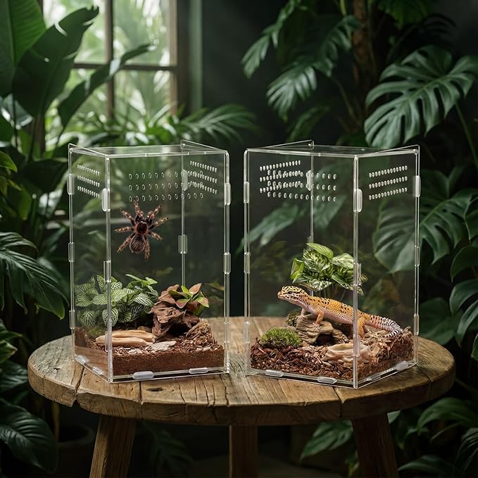 Hushee 2 Pcs Acrylic Reptile Terrarium Easy Assembly, 360° Clear & Keep Pet Secure Design for Jumping Spiders, Tarantulas, Frog, Mantis, Geckos, Ventilated Habitat Terrarium Enclosure 9.8*5.9*5.9in