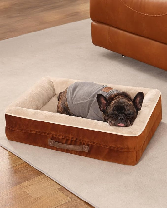 Upvilla Orthopedic Dog Bed, Four-Sided Small Dog Sofa, Washable Cover Brown | Removable Waterproof Dog Bed Cover, Egg-Crate Orthopedic Foam, Built-In Carry Handle, Indoor Small Pet Beds, Cat Beds