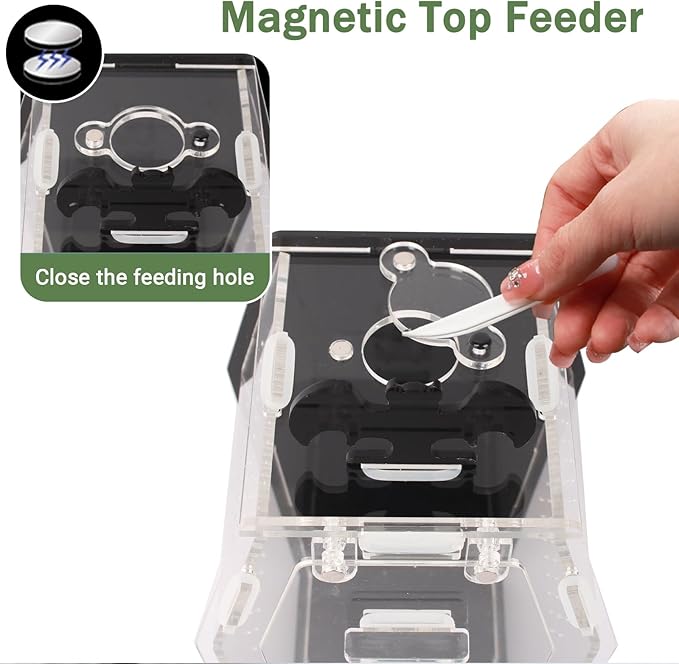 Coffin Shape Jumping Spider Enclosure, Acrylic Magnetic Terrarium with Feeding Hole, Front Opening Gothic Habitat for Tarantula Mantis Beetle