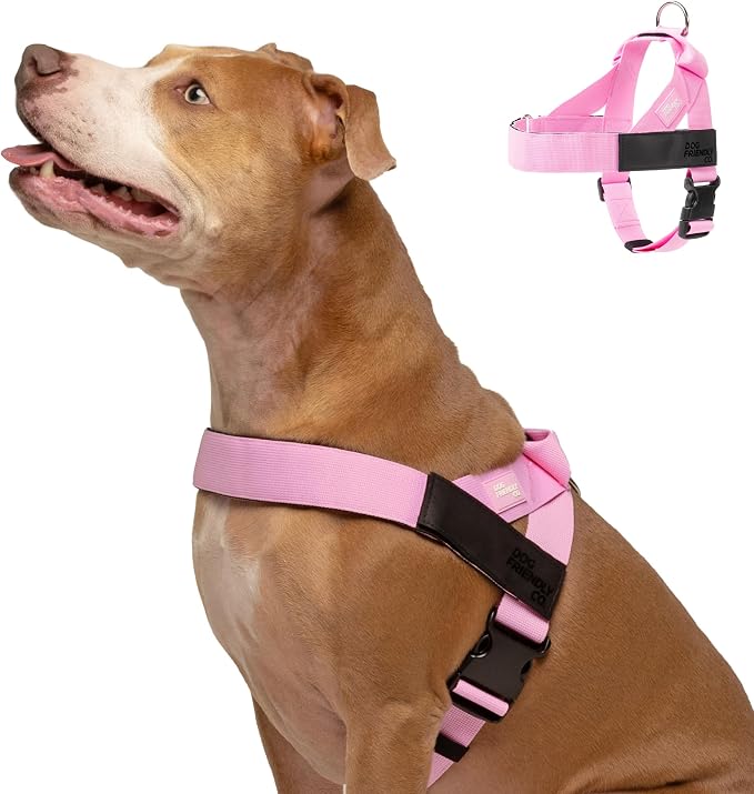 Dog Friendly Co. Dog Harness for Small Dogs, Adjustable (Pink, XXSmall) | One Click Buckle, Chafe Resistant Webbing, Adjustable Neck & Chest, and Heavy Duty D-Ring, Sturdy Comfortable and Easy to Use