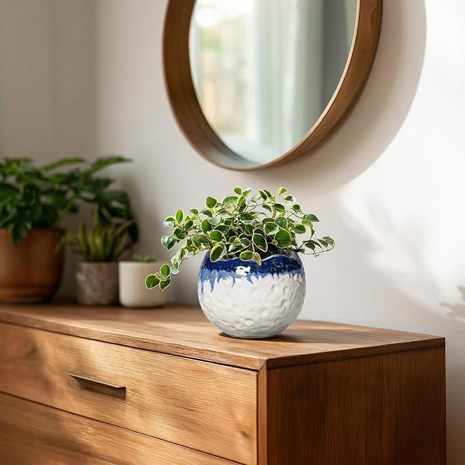 4 Inch Plant Pots - Ceramic Pots for Plants with Drainage Hole and Plug, Round Planters for Indoor Outdoor Plants, Modern Unique Flower Pots, Home Living Room Decor, Garden Gift, Beige-Blue