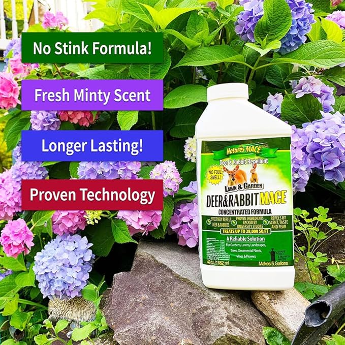 Nature’s MACE Deer and Rabbit Mace, Deer Repellent for Plants, Lawns, Flowers, Gardens, Deer Repellent Spray, Keep Deer Out, Deterrent, All-Season Protection, 5 Gallon Concentrate, Treats 10 Acres