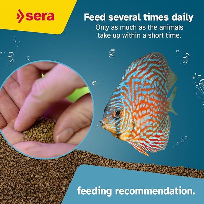 sera Discus Prob Granules 4 oz. | Complete Growth Food for Discus Fish | with Probiotics & Astaxanthin | No Dyes & Preservatives Consisting of Soft Granules | Supports Immune System
