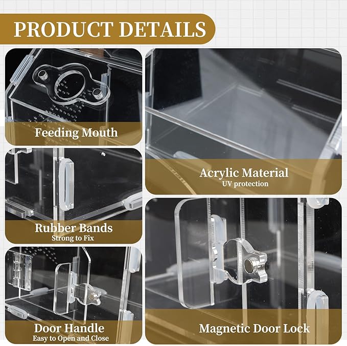 Acrylic Jumping Spider Habitat, Reptile Terrarium Easy Assembly, Bug Enclosure, Praying Mantis Habitat, Frog Enclosure (Small-6.3 * 4.7 * 6.7in)