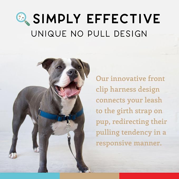 No Pull Dog Harness | Comfortable Training Harnesses | Effective No Pull Harness Design | Ideal for Large Sized Dog | 4-Point Adjustable(XL - 30~36 inch Girth, Navy)