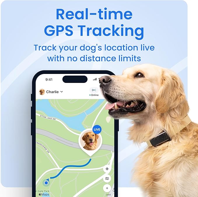 Tractive Smart Dog GPS Tracker with 6 Month Subscription | Live Pet Tracker with Virtual Fence | Vital Signs Monitoring of Heart & Respiratory Rate | Bark Monitoring | Dog Collar Attachment (Mint)