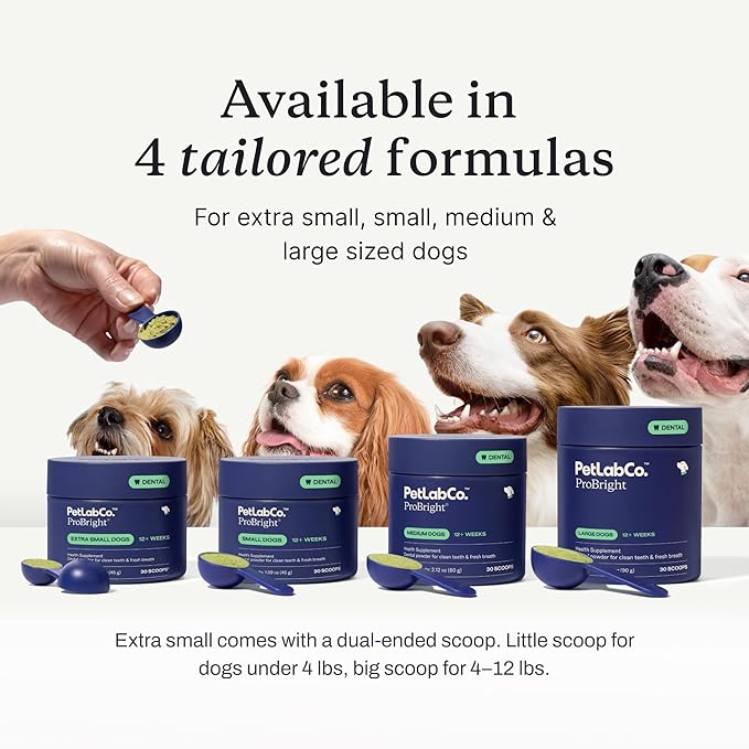 PetLab Co. ProBright Dental Powder - Dog Breath Freshener - Teeth Cleaning Made Easy – Targets Tartar & Bad Breath - Formulated for Medium Size Dogs - Packaging May Vary