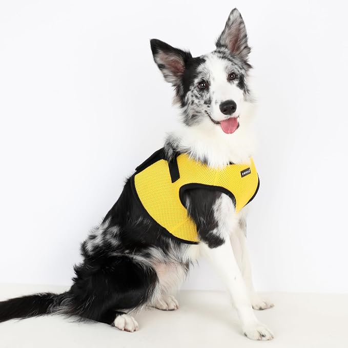 PUPPIA International Harness Soft B Vest, Small, Yellow