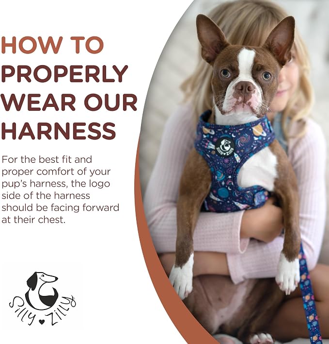 No Pull Harness and Leash Set - 6-in-1 Adjustable Vest Harness and Collars for Medium and Large Dogs. (Cosmic, Large)